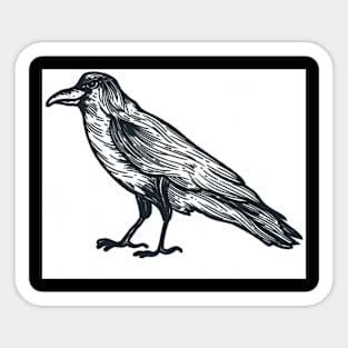 Crow Sticker